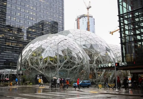 Amazon'dan yağmur ormanlarından ilham alan ofis