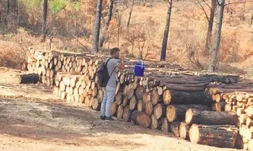 6 bin kişiyle orman seferberliği