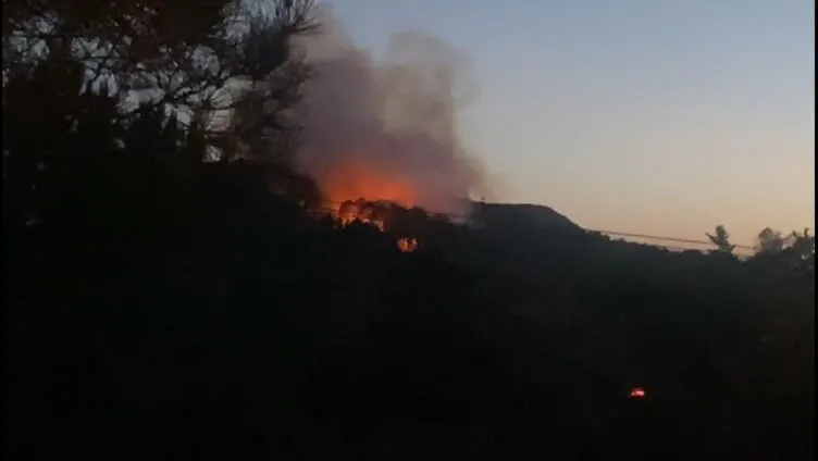 SON DAKİKA | İstanbul Maltepe’de orman yangını! Çok sayıda ekip sevk edildi: Kontrol altına alındı