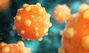 Uzmanından korkutan açıklama: Gizemli hepatit yeni virüslere neden olabilir