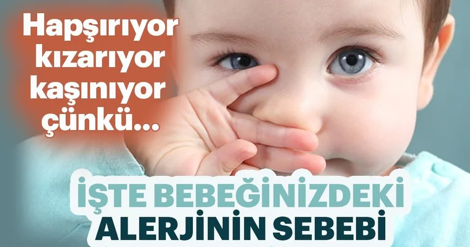bebeklerde alerji nedenleri bebegim ve biz haberleri