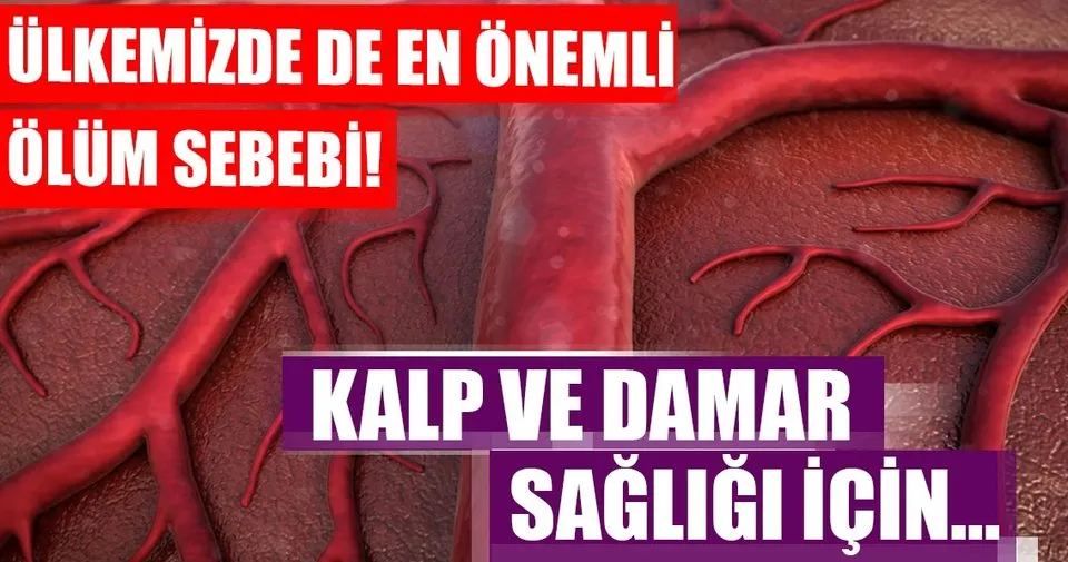 Damar Tikanikligi Nedir Ve Belirtileri Nelerdir Saglik Haberleri