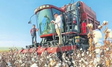 Çiftçi gözünü göğe çevirdi