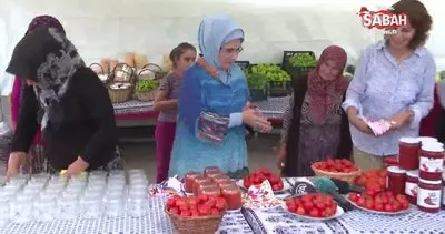 Emine Erdoğan, Ayaş’ta çiftçi kadınlarla tarladan domates topladı, kışlık menemen yaptı | Video