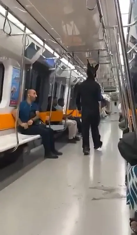 metroda-tavsan-kostumu-ve-tufekle-gezmisti-sosyal-medyanin-konustugu-goruntulere-maskeli-parti-savunmasi-1754036293523.jpg