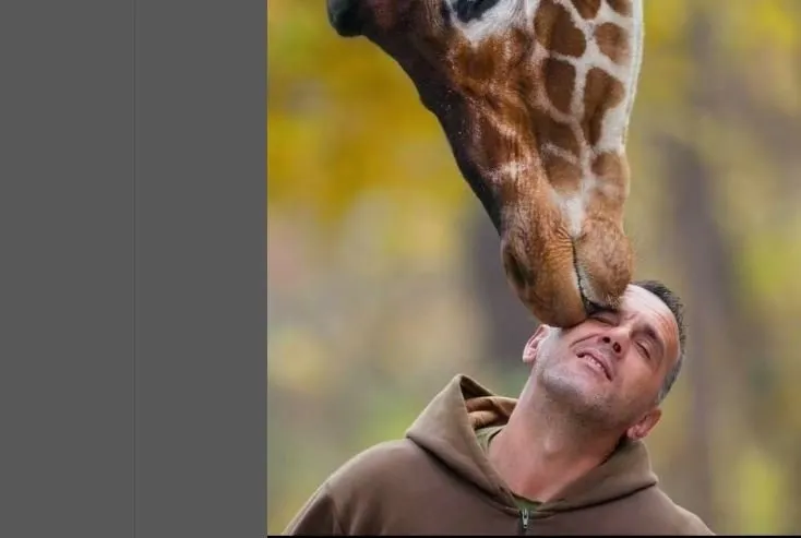 Sevgiden öte hayat bağı: 10 yıldır baktığı zürafa ile aynı gün öldü!