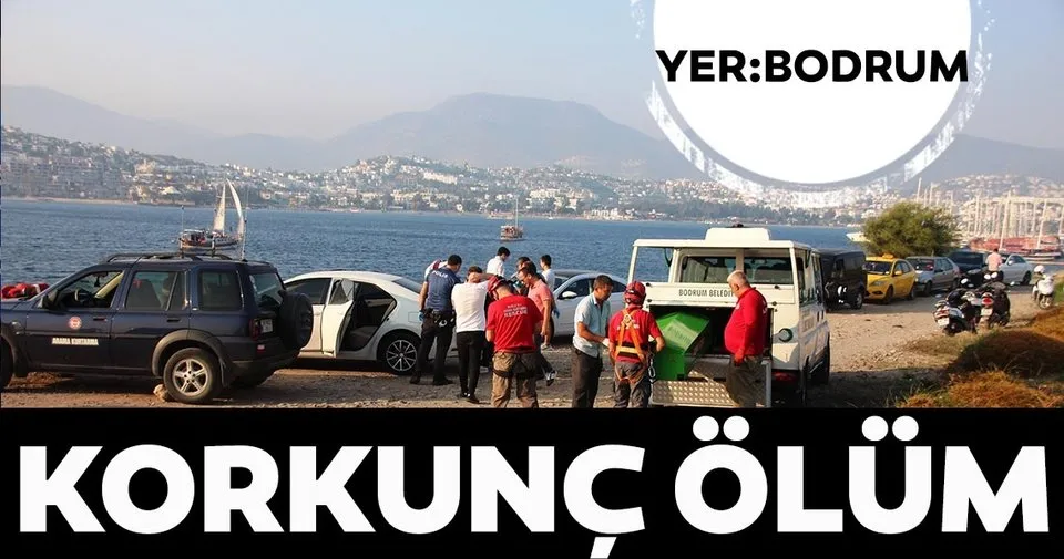 mugla bodrum da korkunc olum balik tutan vatandaslar fark etti sayfa 4 son dakika haberler