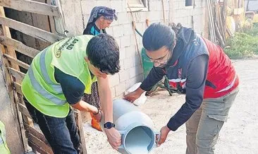 Gençler ‘Köyümde 3 Gün’le kırsal hayatı deneyimliyor #erzincan