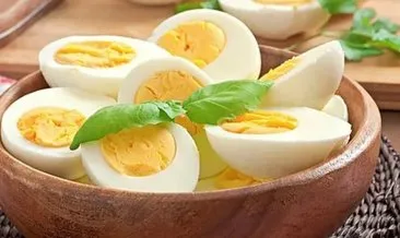 Yumurta Hangi Besin Grubuna Girer? Yumurta Hangi Besin Grubunda Yer Alır?