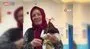 Hastanede ’tavuk’ operasyonu | Video