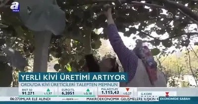 Yerli kivi üretimi artıyor!