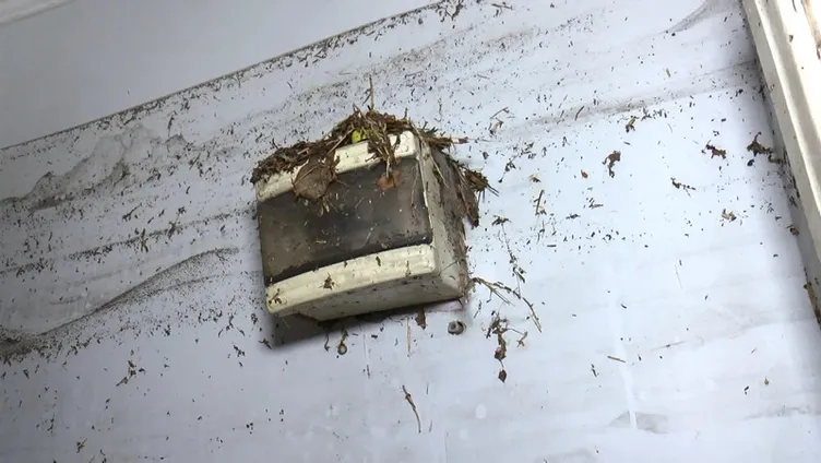 Gine’den gelmişti: İstanbul’da sel faciasında can verdi!