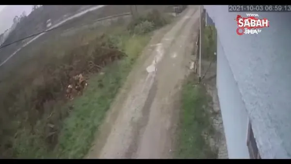 Bartın'da MHP kafilesini taşıyan midibüsün devrilme anı kamerada | Video