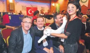 En güzel kediler 14 Ekim’de yarışacak