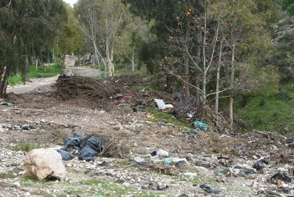 izmir-buyuksehirden-baris-mancoya-buyuk-saygisizlik-1704528666624.jpg