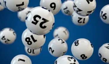 sayısal loto 1 yıllık sonuçları