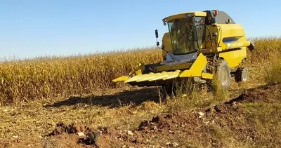 Şanlıurfa’da mısır hasadı başladı