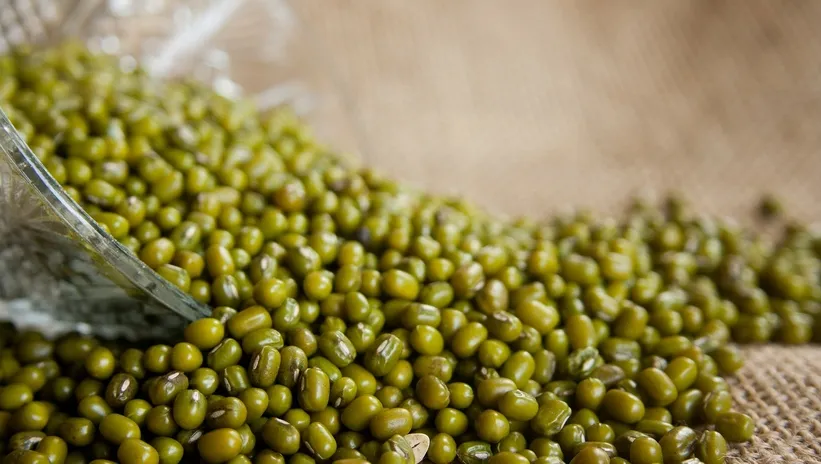 Maş fasulyesi salatası tarifi: Maş fasulyesi salatası nasıl yapılır? - Vegan Tarifler Haberleri