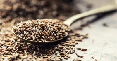 Mucize baharat kötü kolesterolün baş düşmanı çıktı! Yoğurtla tüketilince faydası katlanan muhteşem baharat!