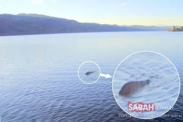 Efsanevi Loch Ness Gölü Canavarı bulundu! Bomba iddia ortalığı karıştırdı