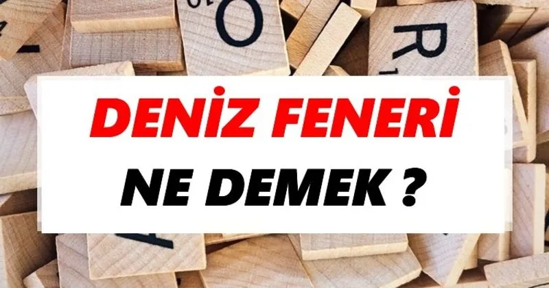 şevket özcan eşcinsel seks