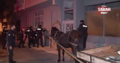 İstanbul’da at arabasıyla inşaat malzemeleri çalan 3 kadın hırsız yakalandı | Video