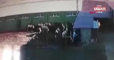 Son Dakika Haberi: Bayburt’ta kurbanlık boğa dehşeti! Sahibini feci şekilde öldürdüğü anlar kamerada | Video