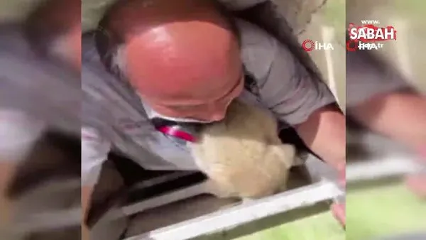 Yavru köpek, kendisini kurtaran itfaiye erini duygulandırdı | Video