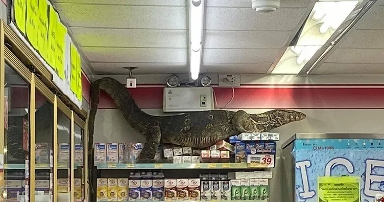 Tayland’da dev kertenkele markete girdi