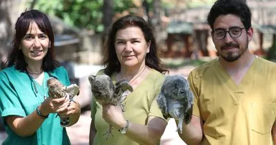 Antalya Doğal Yaşam Parkı’nda 3 özel misafir
