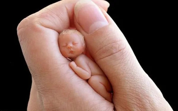 Yeni Doğmuş Bebek Heykelleri Yapan Sanatçının Dünya Tatlısı Minnacık Heykelleri