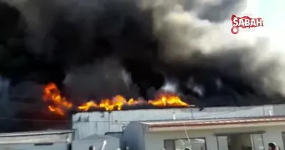 Halı mağazasında yangın: Dumanlar gökyüzünü sardı | Video