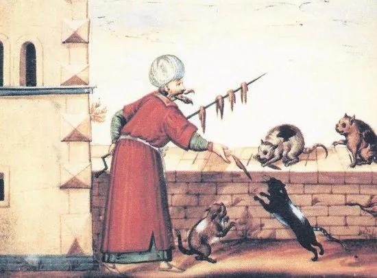 Avrupalilar Atalarimizin Hayvan Sevgisini Anlamadi Erhan Afyoncu