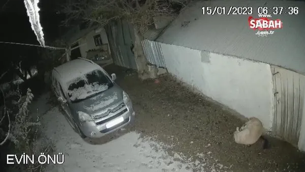 Elazığ'daki depremde köpeğin kaçışı kameraya yansıdı | Video