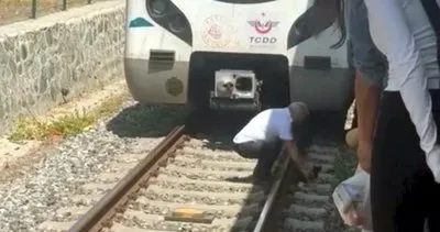 Makinist raylardaki yavru kedi için treni durdurdu #istanbul