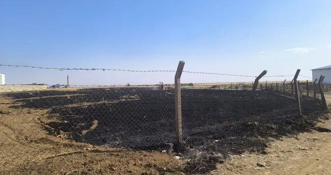 Nusaybin’de buğday tarlasında yangın: 15 dönüm ekin kül oldu