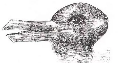 Resimde ilk gördüğünüz hayvan kişiliğinizin gizli yanlarını ortaya çıkarıyor! O kişiler daha duygusal oluyor…