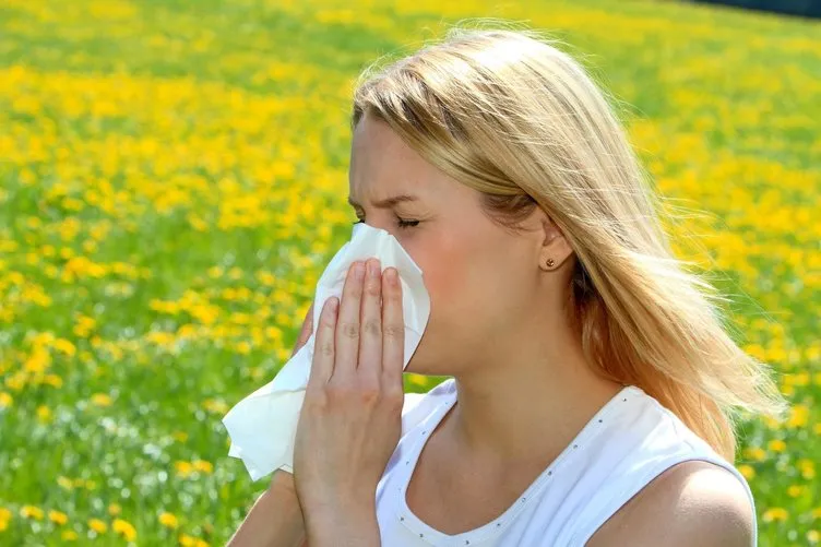 Polenler alerjik sinüziti tetikliyor!
