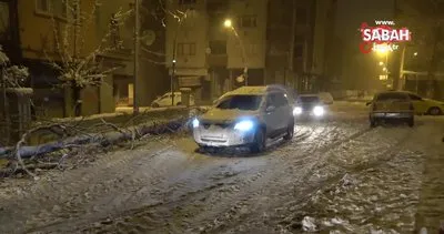 Malatya’da yoğun kar yağışı ağaçları devirdi | Video