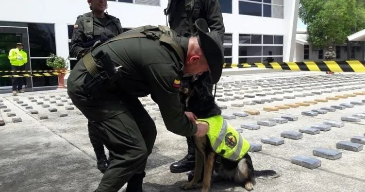 Çete liderinden polis köpeğinin başına ödül