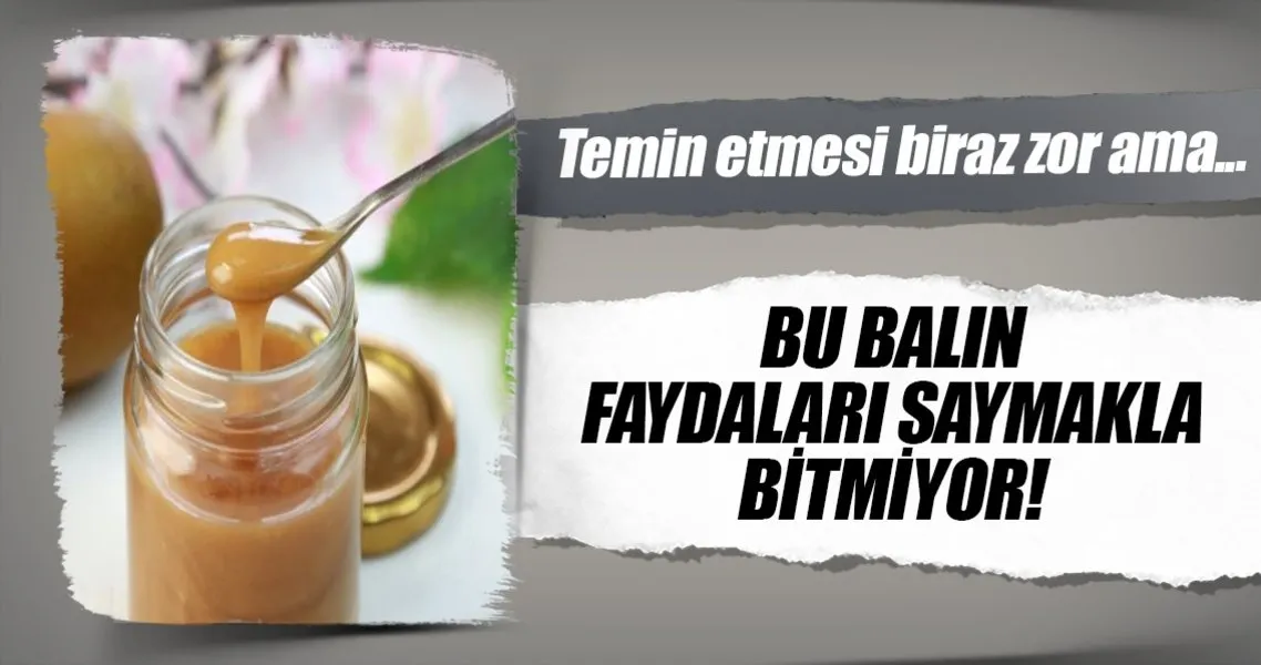 Mucizevi Manuka Balinin Faydalari Saglik Haberleri