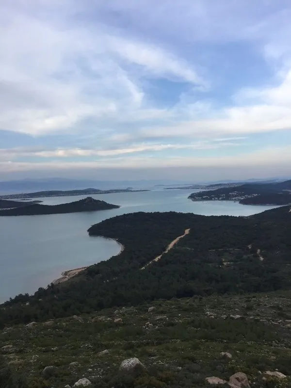 Türkiye’yi doyuran oksijeni bol zeytini lezzetli Balıkesir