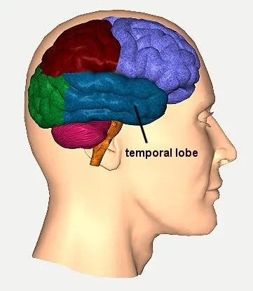 Temporal lob epilepsi nedir?