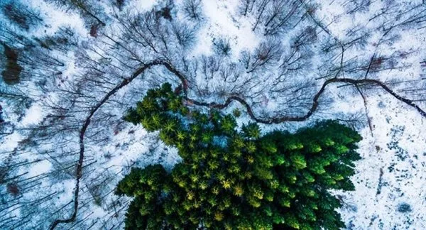En iyi drone fotoğrafları