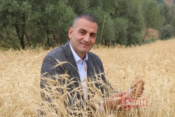 2 bin yıllık ata tohumu! O ilimizde hasat gerçekleşti...