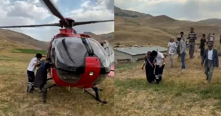 Arı sokması sonucu fenalaştı: Ambulans helikopterle hastaneye ulaştırıldı