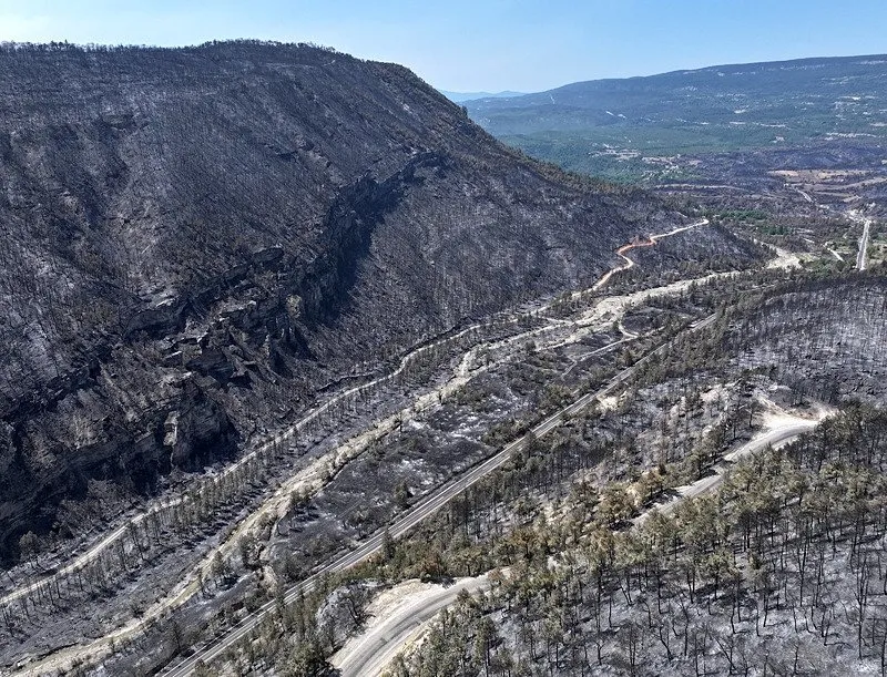 Ciğerlerimiz yandı, kül oldu! Karabük'te yangında zarar gören ormanlık alan böyle görüntülendi