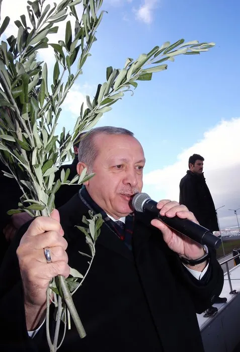 Cumhurbaşkanı Erdoğan, elinde Zeytin Dalı ile konuştu