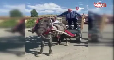 CHP Milletvekili Tanal, arabacıdan ’AK Partiliyim’ cevabını alınca at arabasından indi | Video