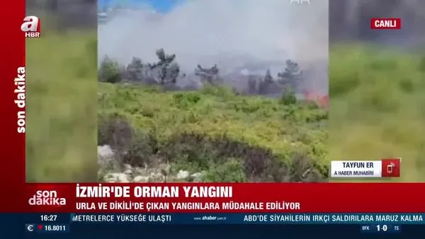 SON DAKİKA! İzmir Karaburun ve Dikili'de orman yangını! Ekiplerin müdahalesi sürüyor | Video